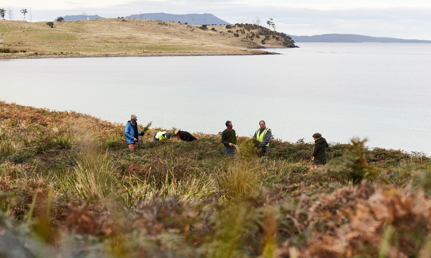 Image of people working in a remote location overlooking a body of water.