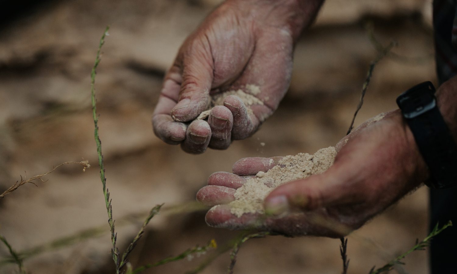 Image of a mans hands holding sandy earth.