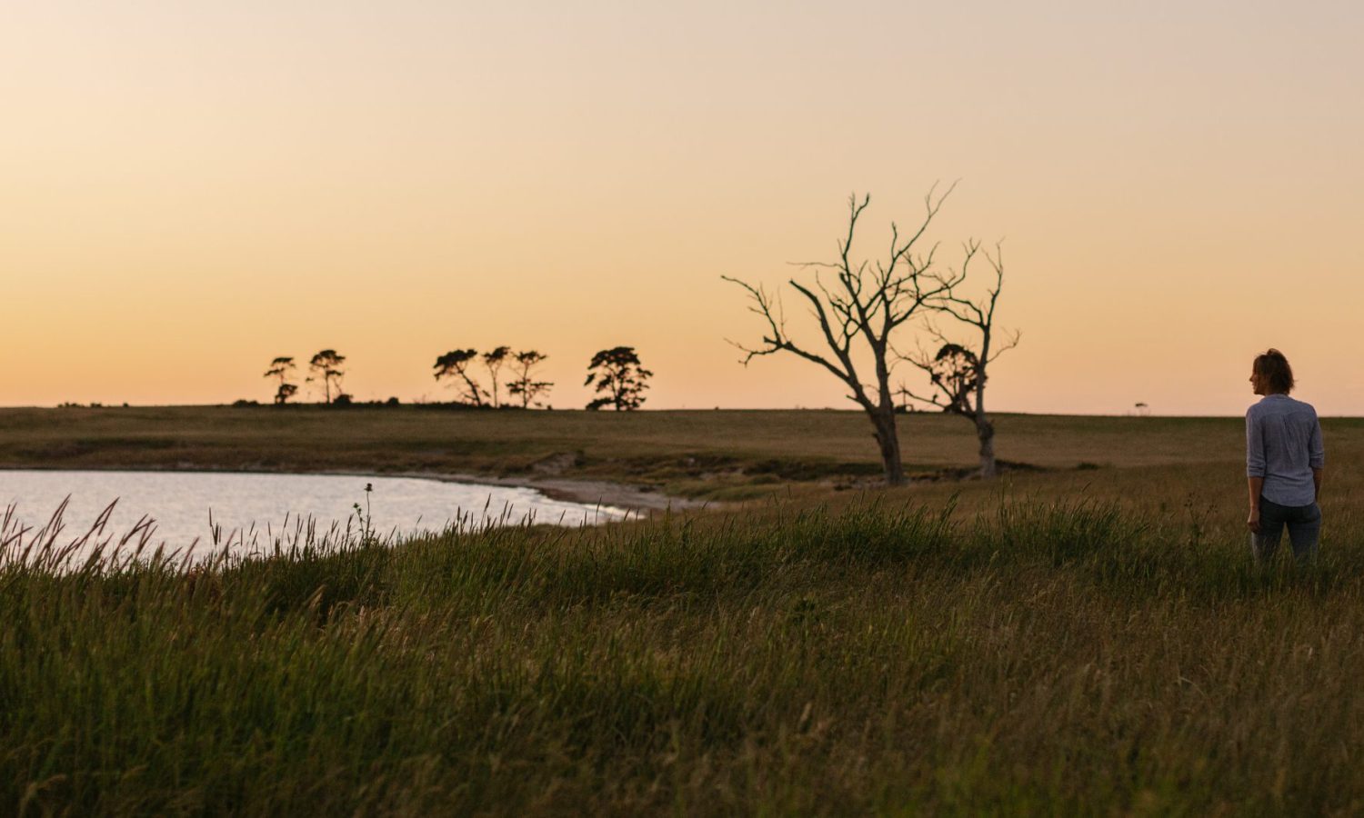 Little of a man and a woman standing in long grass overlooking water at sunset. Image taken at Swanport: Image Moon Cheese Studio