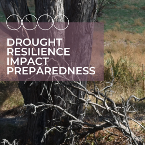 Image is of a large tree trunk with dry branches on the ground.
