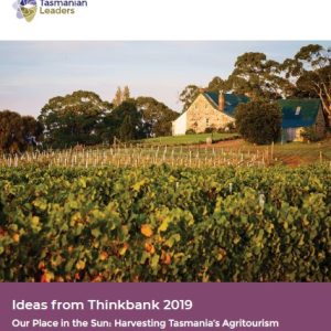 A photo in the evening light of an old stone building with a green tin roof in a vineyard with new and old vines.